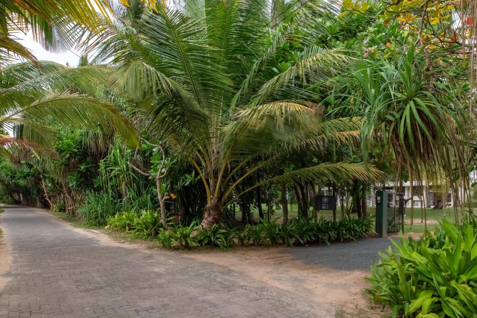 Villa Bentota No 1 Exterior foto